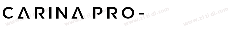 Carina Pro字体转换